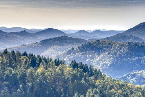 MaxPixel.net-Hdr-Mountains-Palatinate-Palatinate-Forest-Forest-2942147.thumb.jpg.04de37f4e87a6271065694597234fbfa.jpg