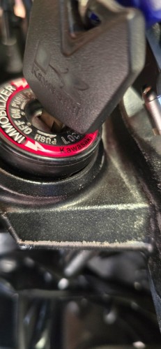 20250412_102918.thumb.jpg.a86f030e216030b220571a75ed7d2b0c.jpg