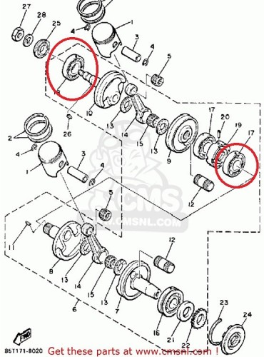 Crank Bearings.jpg