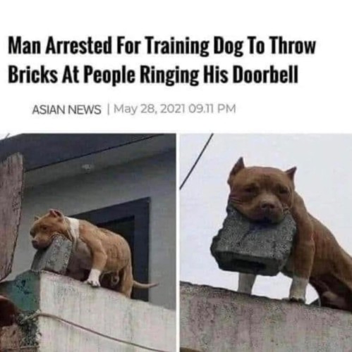 image.thumb.jpeg.f71828b675081dac6e25f3976ea43b61.jpeg